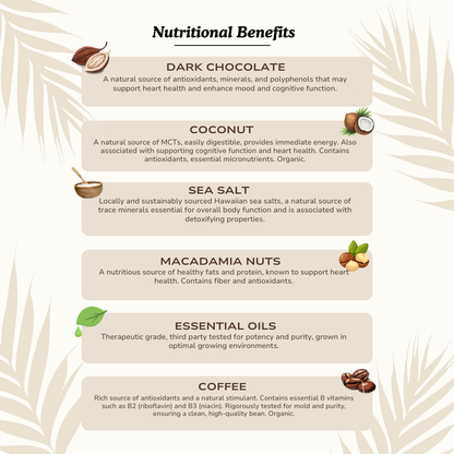 Signature Dark Chocolate w/ Macadamia Nuts (4-piece box)