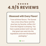 Dark Chocolate Coconut Vegan Fudge - Original Flavor (4-piece box)