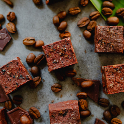 Java Dark Chocolate Coconut Fudge w/ Macadamia Nuts (4-piece box)
