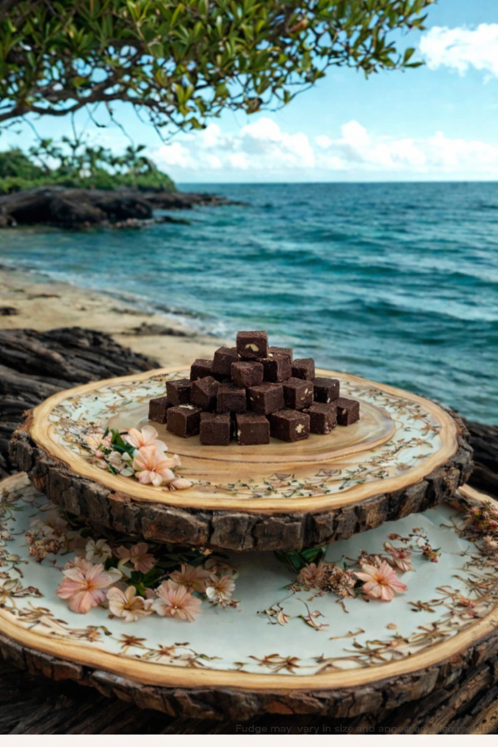 image 2026 Java Dark Chocolate Coconut Vegan Fudge Bites w/ Macadamia Nuts (Pouch) - Farm to Fudge Maui
