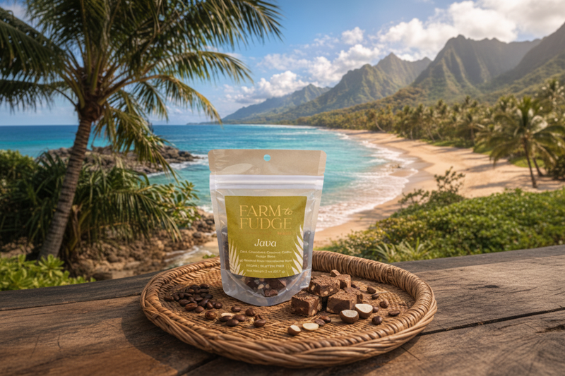 Java dark chocolate coconut vegan fudge bites with macadamia nuts and coffee, part of the 2026 Farm to Fudge Maui subscription box.