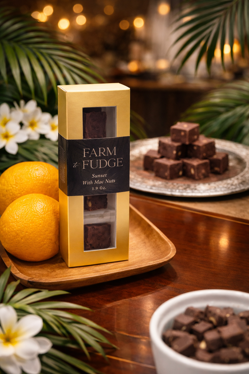 Sunset Dark Chocolate Coconut Vegan Fudge w/ Macadamia Nuts (4 piece box)